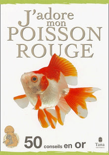 J'adore mon poisson rouge