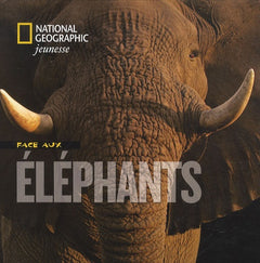 Face aux éléphants