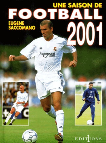 Une saison de football 2001