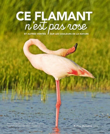 Ce flamant n'est pas rose