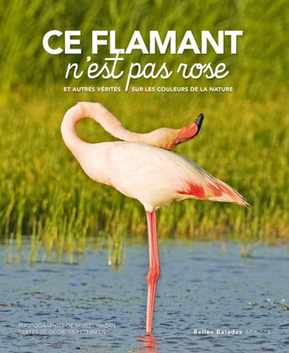 Ce flamant n'est pas rose