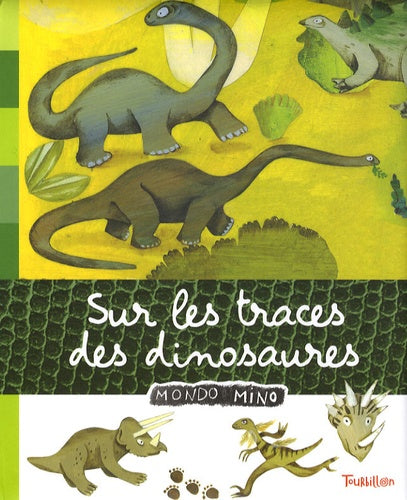 Sur les traces des dinosaures