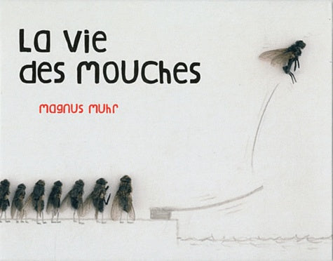 La vie des mouches