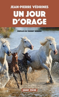 Un jour d'orage