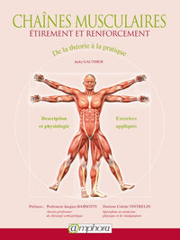Chaînes musculaires étirement et renforcement: De la théorie à la pratique