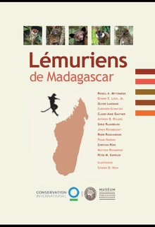 Lemuriens de Madagascar