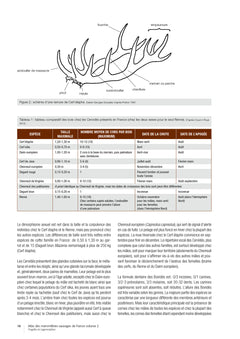 Atlas des mammifères sauvages de France - Volume 2