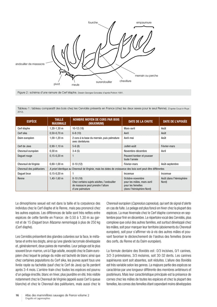 Atlas des mammifères sauvages de France - Volume 2