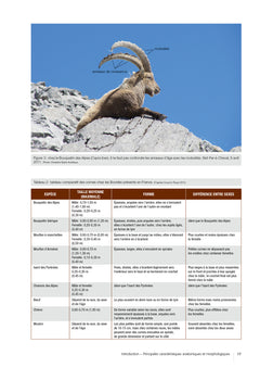 Atlas des mammifères sauvages de France - Volume 2