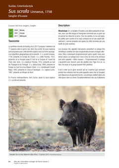 Atlas des mammifères sauvages de France - Volume 2