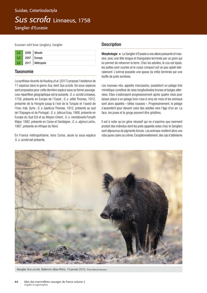Atlas des mammifères sauvages de France - Volume 2