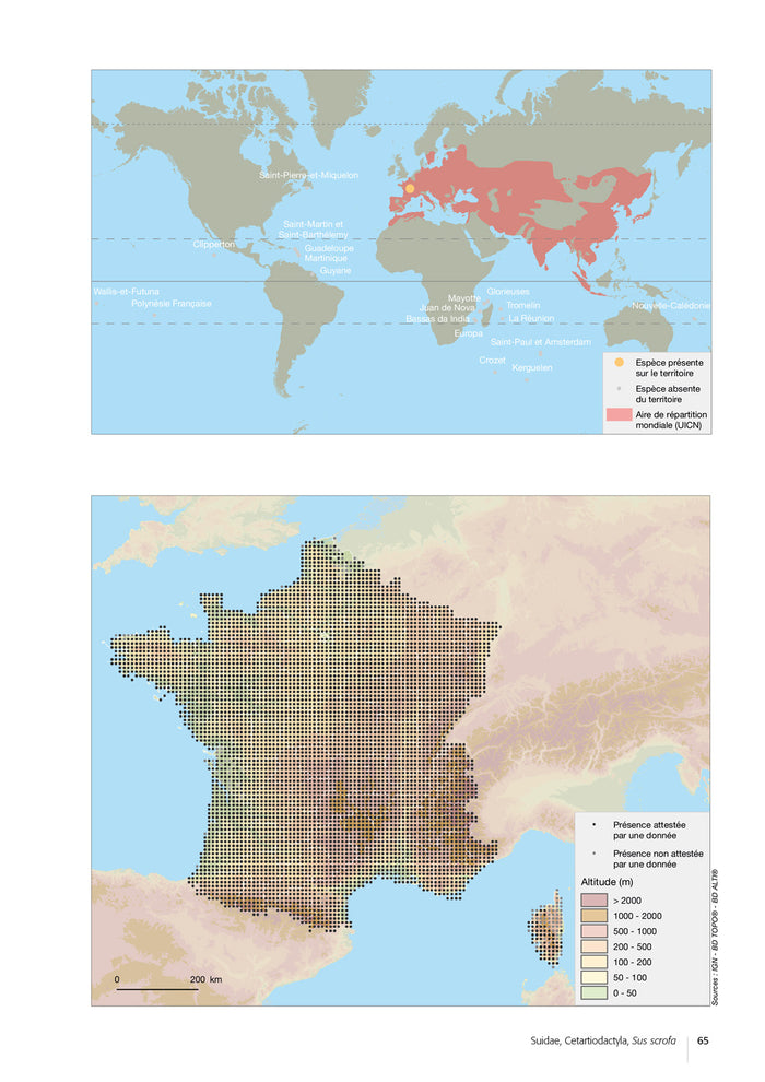 Atlas des mammifères sauvages de France - Volume 2