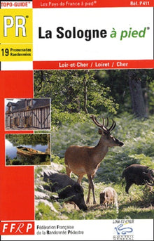 Sologne à pied