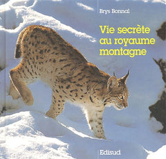 Vie Secrete Au Royaume Montagne