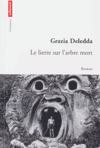 Le lierre sur l'arbre mort