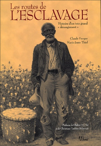 Les routes de l'esclavage: Histoire d'un très grand 'dérangement'