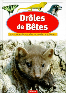 Drôles de bêtes : Les Malices du monde animal