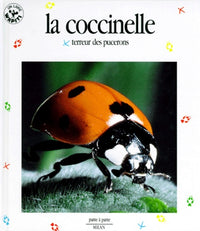 La coccinelle, terreur des pucerons