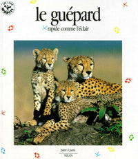 Patte à patte