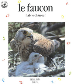 Le Faucon : Habile Chasseur