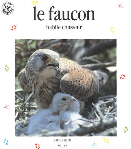 Le Faucon : Habile Chasseur