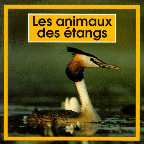 Les animaux des étangs