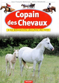Copain des chevaux : à la découverte des fils du vent