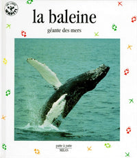 La baleine. Géante des mers