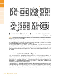 Manuel de nutrition, métabolisme et pathologies digestives appliqués en anesthésie-réanimation et médecine péri-opératoire