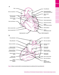 Manuel d'hémodynamique appliquée en Anesthésie  Réanimation et Médecine péri-opératoire