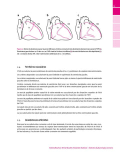 Manuel d'hémodynamique appliquée en Anesthésie  Réanimation et Médecine péri-opératoire