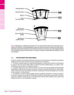 Manuel d'hémodynamique appliquée en Anesthésie  Réanimation et Médecine péri-opératoire