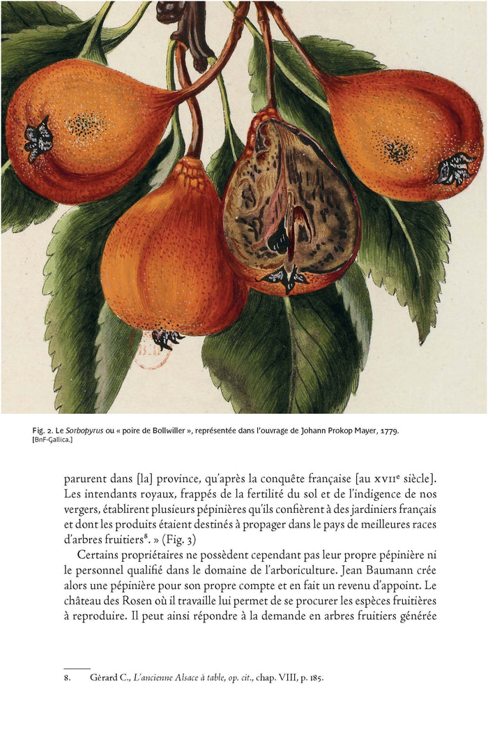 La métamorphose des jardins européens