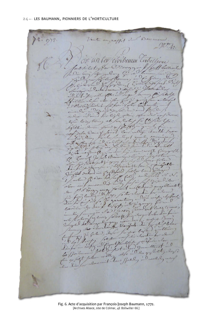 La métamorphose des jardins européens