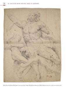 Le Laocoon entre Michel-Ange et Raphaël