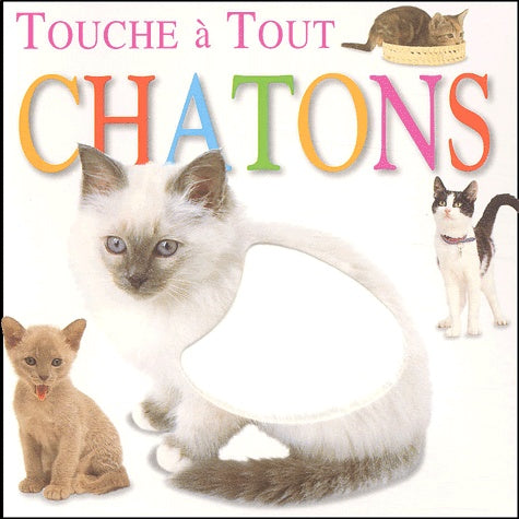Les Chatons