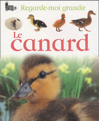 Le canard