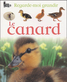 Le canard