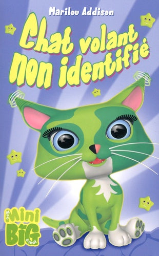 Chat volant non identifié