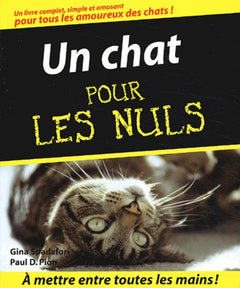 Un chat Poche pour les nuls