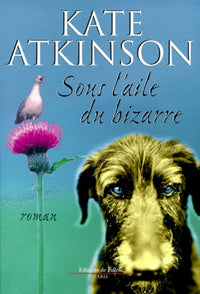 Sous l'aile du bizarre