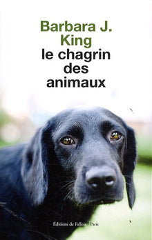 Le chagrin des animaux
