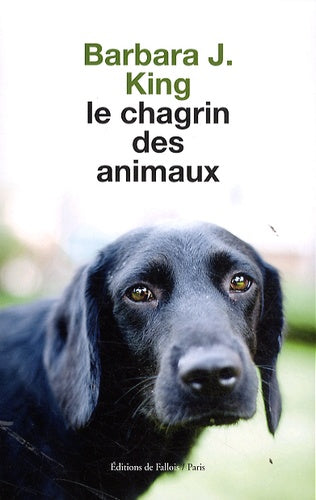 Le chagrin des animaux