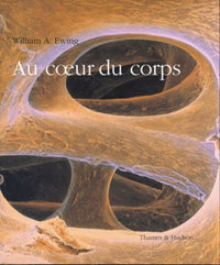 Au coeur du corps