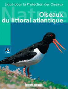 Oiseaux du littoral atlantique
