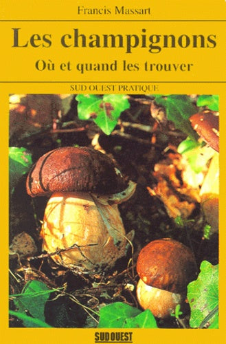 Les champignons : où et quand les trouver ?