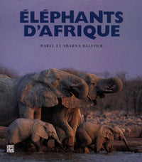 Éléphants d'Afrique