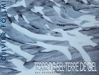 Terre De Sel, Terre De Gel. Des Deserts Du Chili A La Patagonie