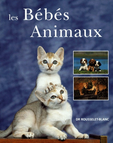 Les bébés animaux
