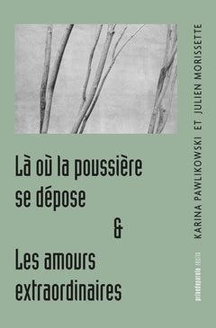 Là où la poussière se dépose, suivi de Les amours extraordinaires